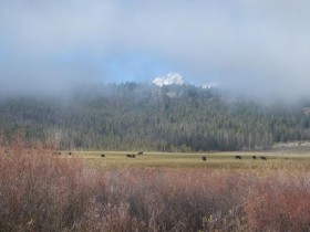 The Dowton 3X ranch makes it's home in Idaho's Pahsimeroi Valley, south of Salmon. 