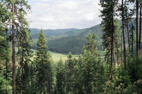 A beautiful view from this North Idaho cattle ranch.