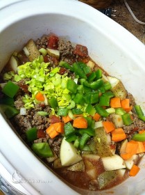 vegetable_beef_stew_blog