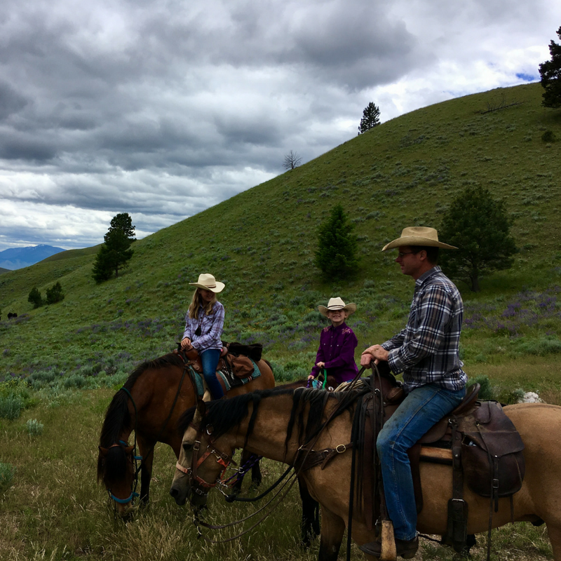 Beef | Idaho CattleWomen