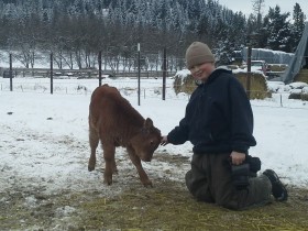 Maureen and Ryan's son, Dillon, taking the time to play with a new calf. 