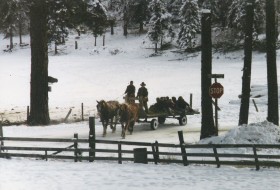 Winter trail rides through timber and pasture for ranch guests.